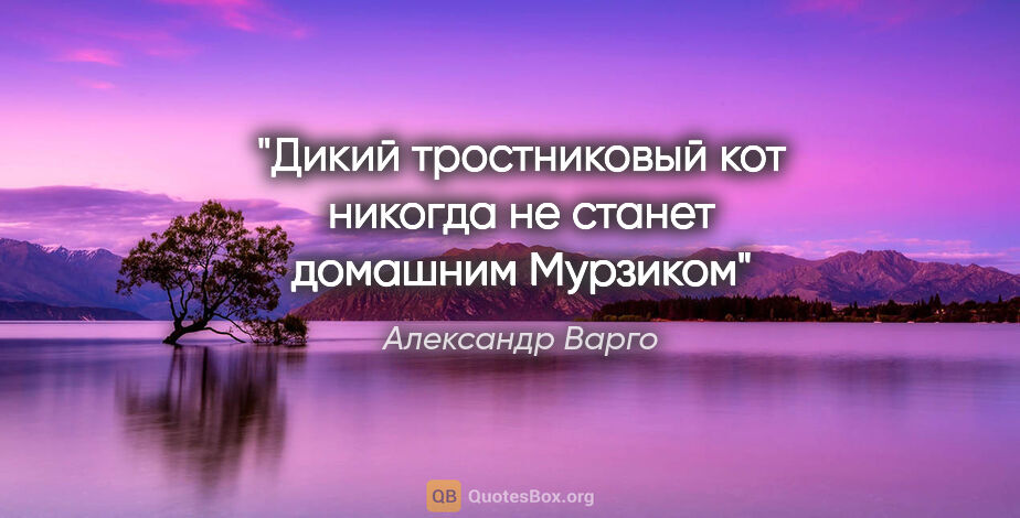 Александр Варго цитата: "Дикий тростниковый кот никогда не станет домашним Мурзиком"