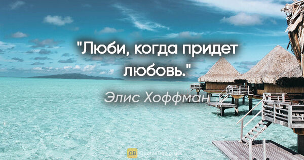 Элис Хоффман цитата: "Люби, когда придет любовь."