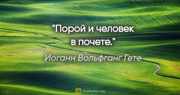 Иоганн Вольфганг Гете цитата: "Порой и человек в почете."