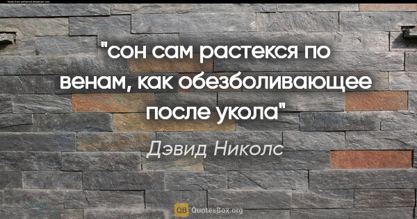 Дэвид Николс цитата: "сон сам растекся по венам, как обезболивающее после укола"