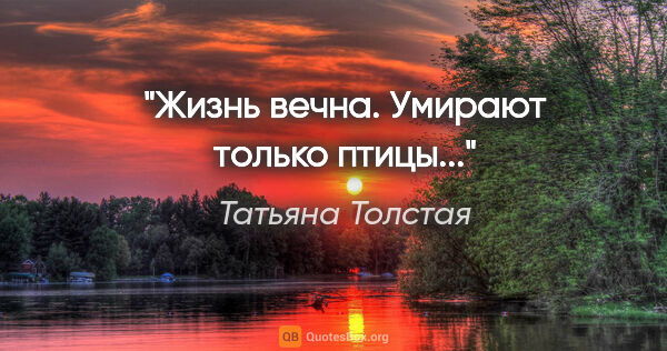 Татьяна Толстая цитата: ""Жизнь вечна. Умирают только птицы...""