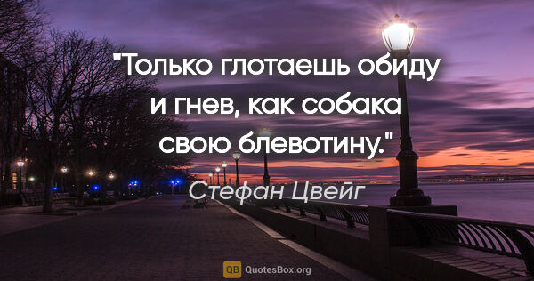 Стефан Цвейг цитата: "Только глотаешь обиду и гнев, как собака свою блевотину."