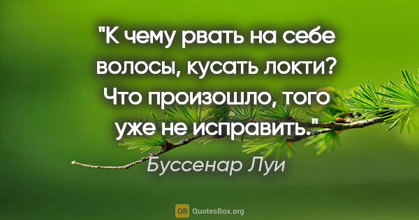 Буссенар Луи цитата: "К чему рвать на себе волосы, кусать локти? Что произошло, того..."