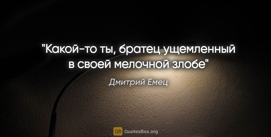 Дмитрий Емец цитата: "Какой-то ты, братец ущемленный в своей мелочной злобе"