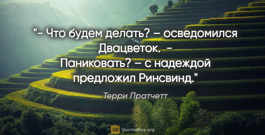 Терри Пратчетт цитата: "- Что будем делать? – осведомился Двацветок.

 - Паниковать? –..."