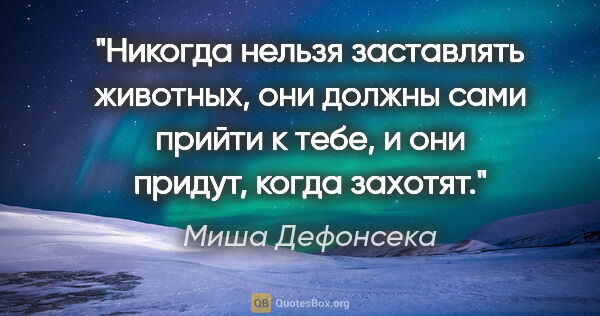 Миша Дефонсека цитата: "Никогда нельзя заставлять животных, они должны сами прийти к..."