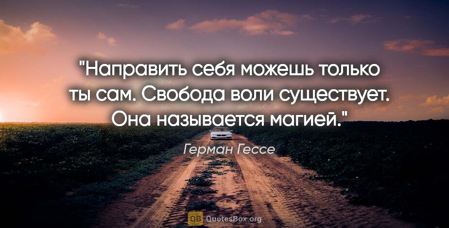 Герман Гессе цитата: "Направить себя можешь только ты сам. Свобода воли существует...."