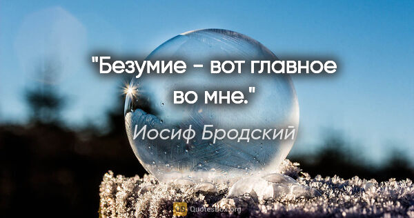 Иосиф Бродский цитата: "Безумие - вот главное во мне."