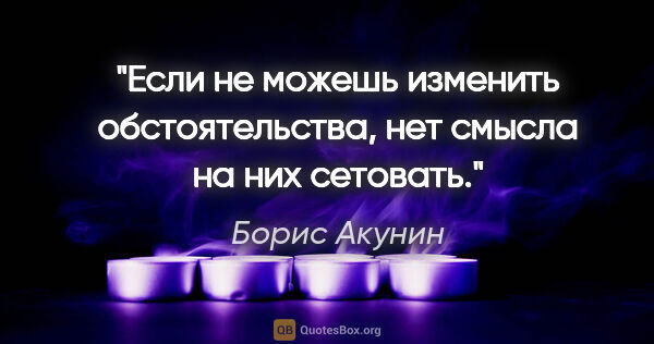 Борис Акунин цитата: "Если не можешь изменить обстоятельства, нет смысла на них..."