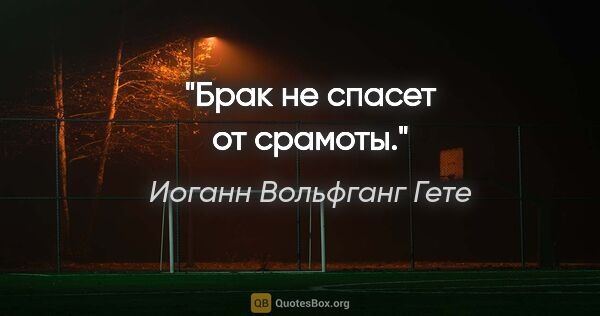 Иоганн Вольфганг Гете цитата: "Брак не спасет от срамоты."