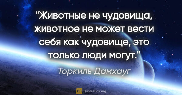 Торкиль Дамхауг цитата: "Животные не чудовища, животное не может вести себя как..."