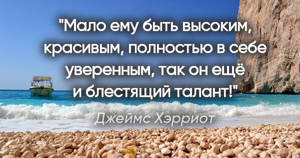 Джеймс Хэрриот цитата: "Мало ему быть высоким, красивым, полностью в себе уверенным,..."