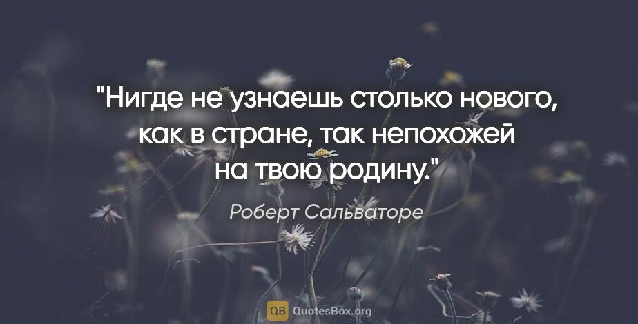 Роберт Сальваторе цитата: "Нигде не узнаешь столько нового, как в стране, так непохожей..."