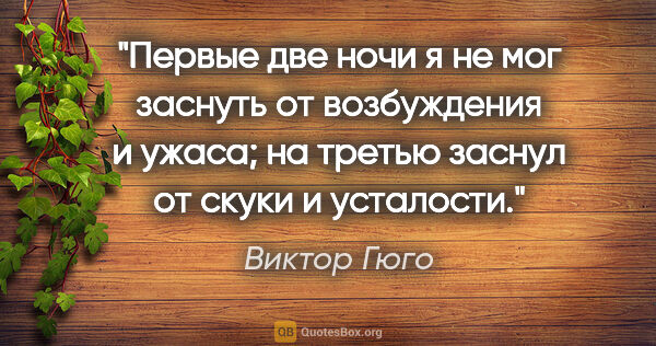 Виктор Гюго цитата: "Первые две ночи я не мог заснуть от возбуждения и ужаса; на..."