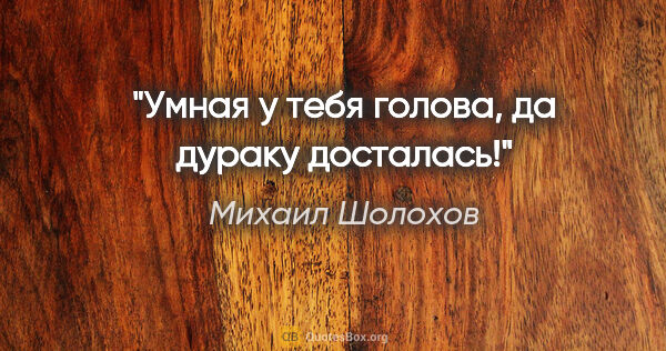 Михаил Шолохов цитата: "Умная у тебя голова, да дураку досталась!"