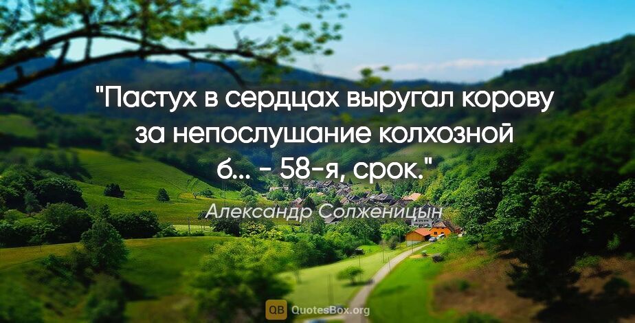Александр Солженицын цитата: "Пастух в сердцах выругал корову за непослушание "колхозной..."