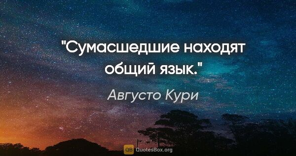 Августо Кури цитата: "Сумасшедшие находят общий язык."