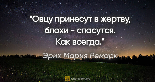 Эрих Мария Ремарк цитата: "Овцу принесут в жертву, блохи - спасутся. Как всегда."