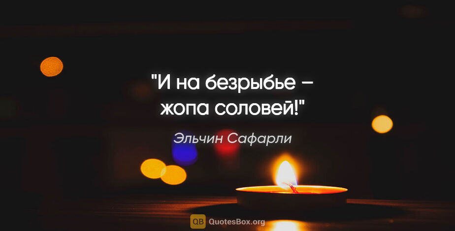 Эльчин Сафарли цитата: "«И на безрыбье – жопа соловей!»"