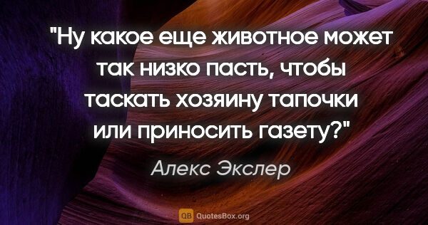 Алекс Экслер цитата: "Ну какое еще животное может так низко пасть, чтобы таскать..."