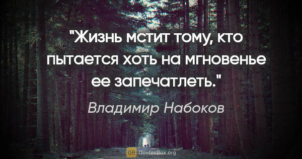 Владимир Набоков цитата: "Жизнь мстит тому, кто пытается хоть на мгновенье ее запечатлеть."