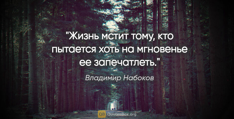 Владимир Набоков цитата: "Жизнь мстит тому, кто пытается хоть на мгновенье ее запечатлеть."