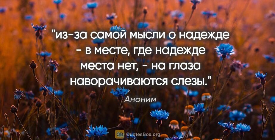 Аноним цитата: "из-за самой мысли о надежде - в месте, где надежде места нет,..."