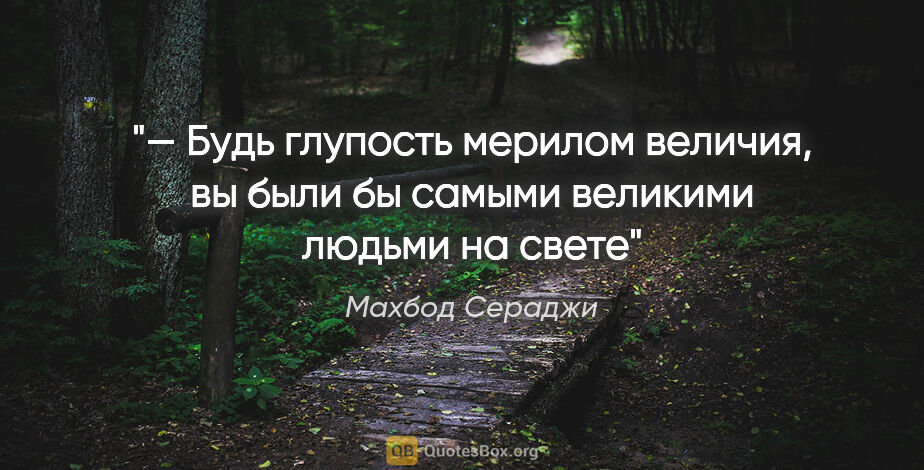 Махбод Сераджи цитата: "— Будь глупость мерилом величия, вы были бы самыми великими..."