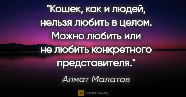 Алмат Малатов цитата: "Кошек, как и людей, нельзя любить в целом. Можно любить или не..."