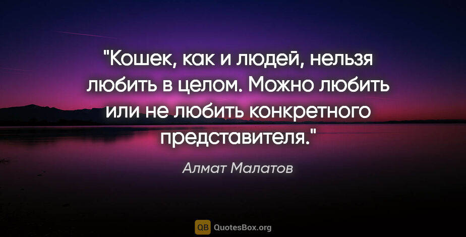 Алмат Малатов цитата: "Кошек, как и людей, нельзя любить в целом. Можно любить или не..."