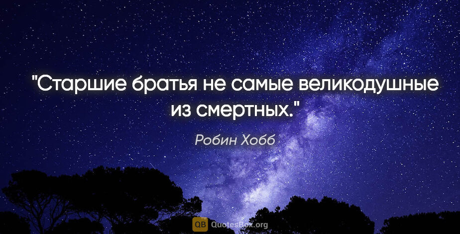 Робин Хобб цитата: "Старшие братья не самые великодушные из смертных."