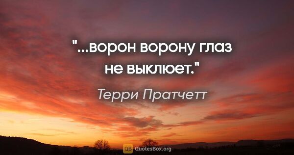 Терри Пратчетт цитата: "...ворон ворону глаз не выклюет."