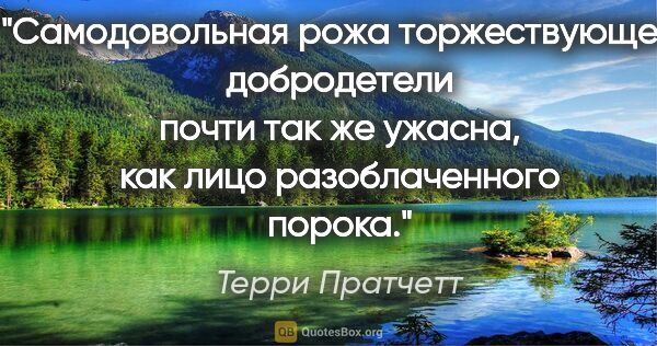 Терри Пратчетт цитата: "Самодовольная рожа торжествующей добродетели почти так же..."