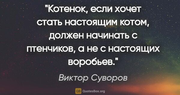 Виктор Суворов цитата: "Котенок, если хочет стать настоящим котом, должен начинать с..."