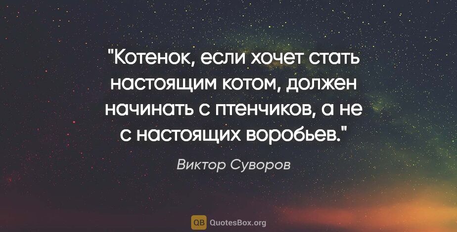 Виктор Суворов цитата: "Котенок, если хочет стать настоящим котом, должен начинать с..."