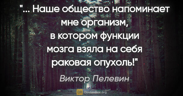 Виктор Пелевин цитата: " Наше общество напоминает мне организм, в котором функции..."