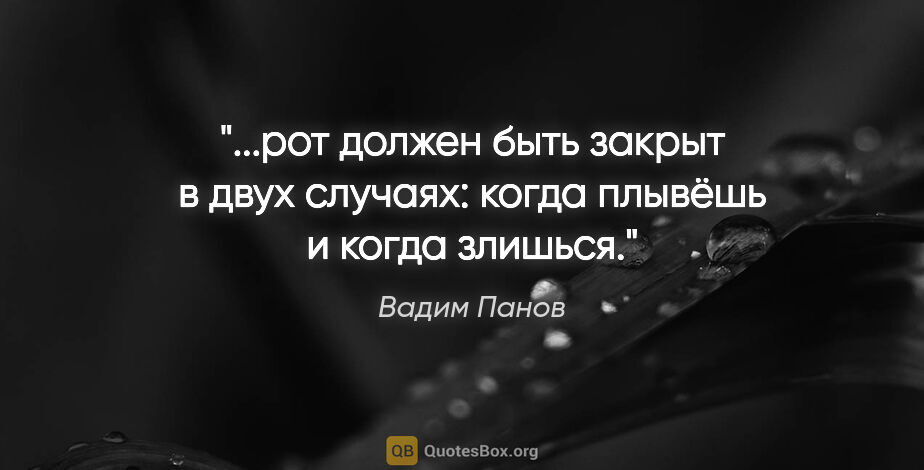 Вадим Панов цитата: "рот должен быть закрыт в двух случаях: когда плывёшь и когда..."