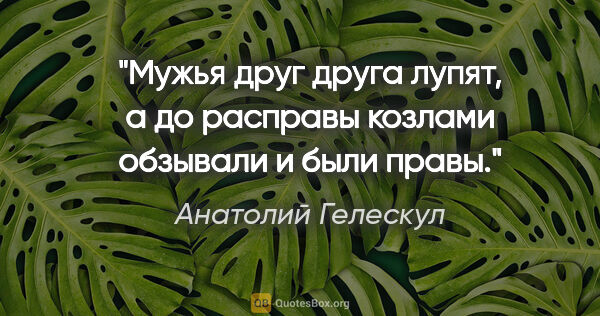 Анатолий Гелескул цитата: "Мужья друг друга лупят,

а до расправы

козлами обзывали

и..."