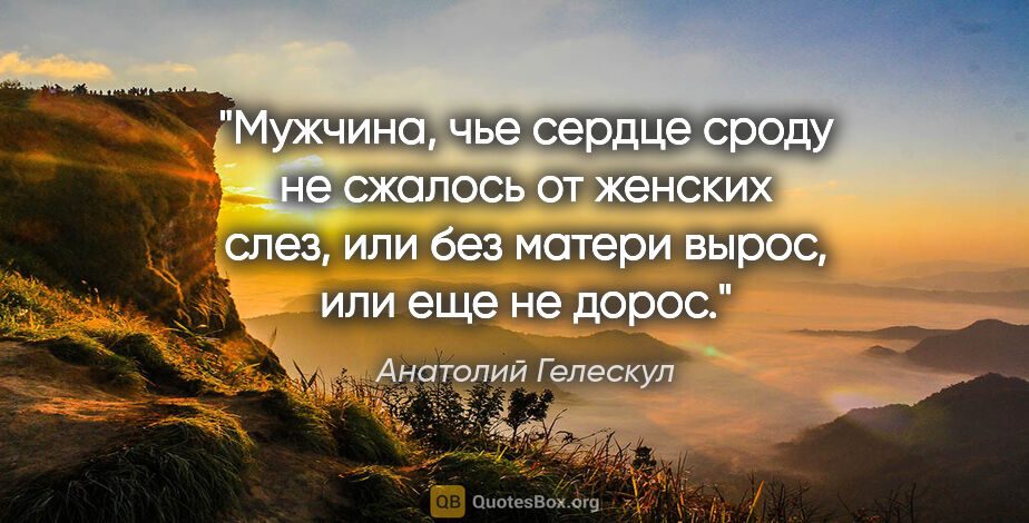 Анатолий Гелескул цитата: "Мужчина, чье сердце сроду

не сжалось от женских слез,

или..."