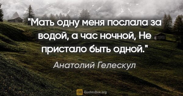 Анатолий Гелескул цитата: "Мать одну меня послала

за водой, а час ночной,

Не пристало..."