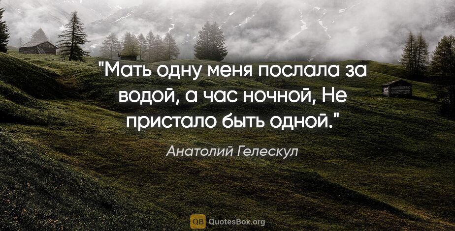 Анатолий Гелескул цитата: "Мать одну меня послала

за водой, а час ночной,

Не пристало..."