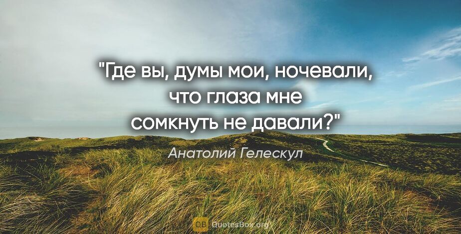 Анатолий Гелескул цитата: "Где вы, думы мои, ночевали,

что глаза мне сомкнуть не давали?"