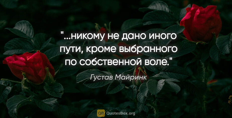 Густав Майринк цитата: "никому не дано иного пути, кроме выбранного по собственной..."