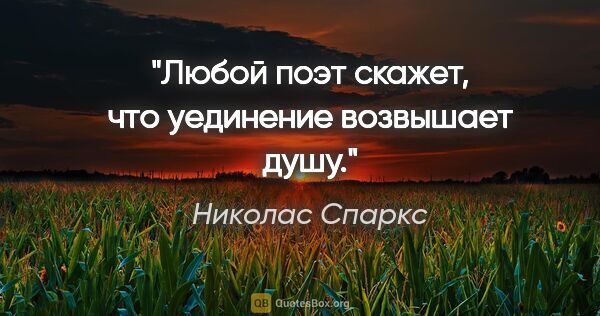 Николас Спаркс цитата: "Любой поэт скажет, что уединение возвышает душу."