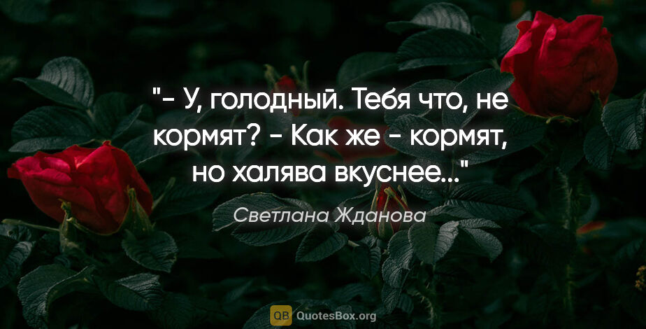 Светлана Жданова цитата: "- У, голодный. Тебя что, не

кормят?

- Как же - кормят, но..."