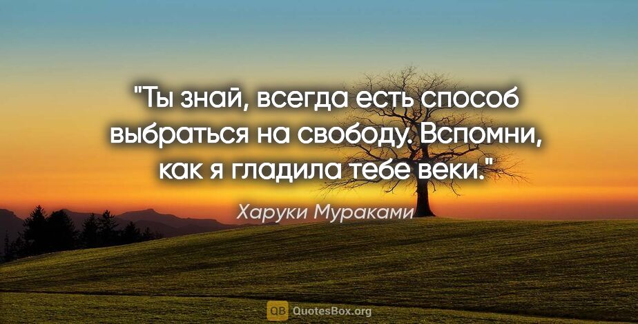 Харуки Мураками цитата: "Ты знай, всегда есть способ выбраться на свободу. Вспомни, как..."