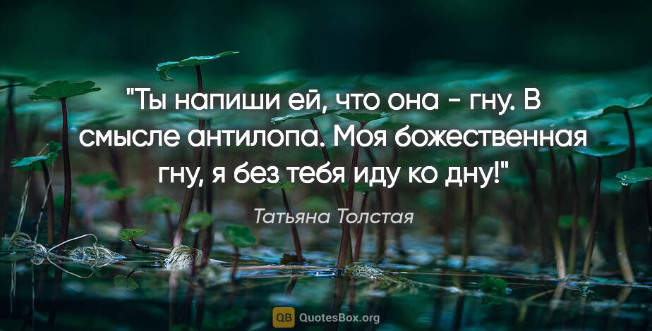 Татьяна Толстая цитата: "Ты напиши ей, что она - гну. В смысле антилопа. Моя..."