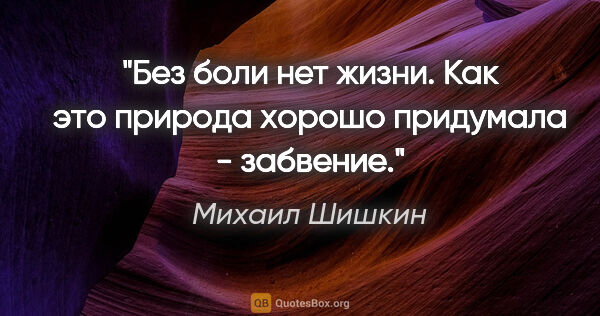Михаил Шишкин цитата: "Без боли нет жизни. Как это природа хорошо придумала - забвение."