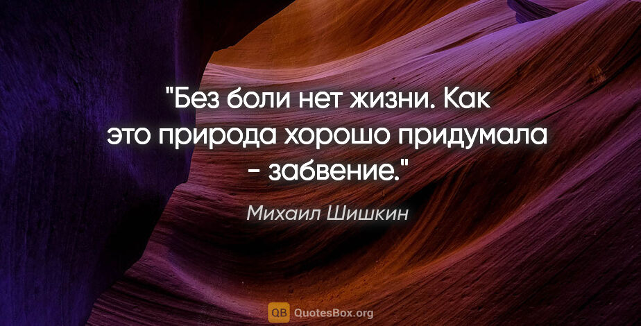 Михаил Шишкин цитата: "Без боли нет жизни. Как это природа хорошо придумала - забвение."