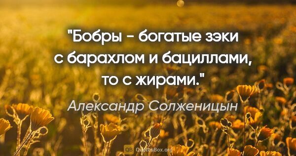 Александр Солженицын цитата: "Бобры - богатые зэки с "барахлом" и бациллами, то с жирами."